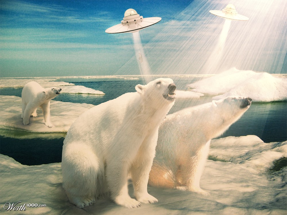 polar bears... you're mine