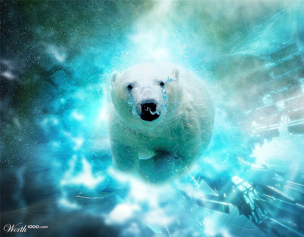 Swimming Spacebear