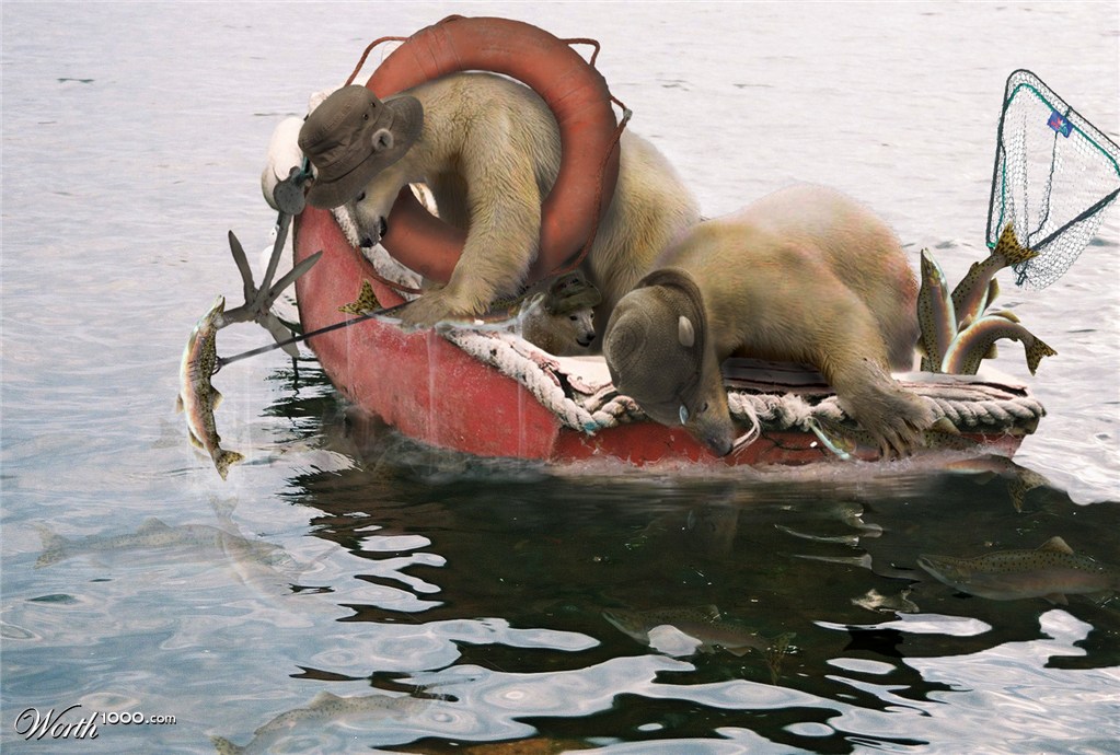 Salmon fishing