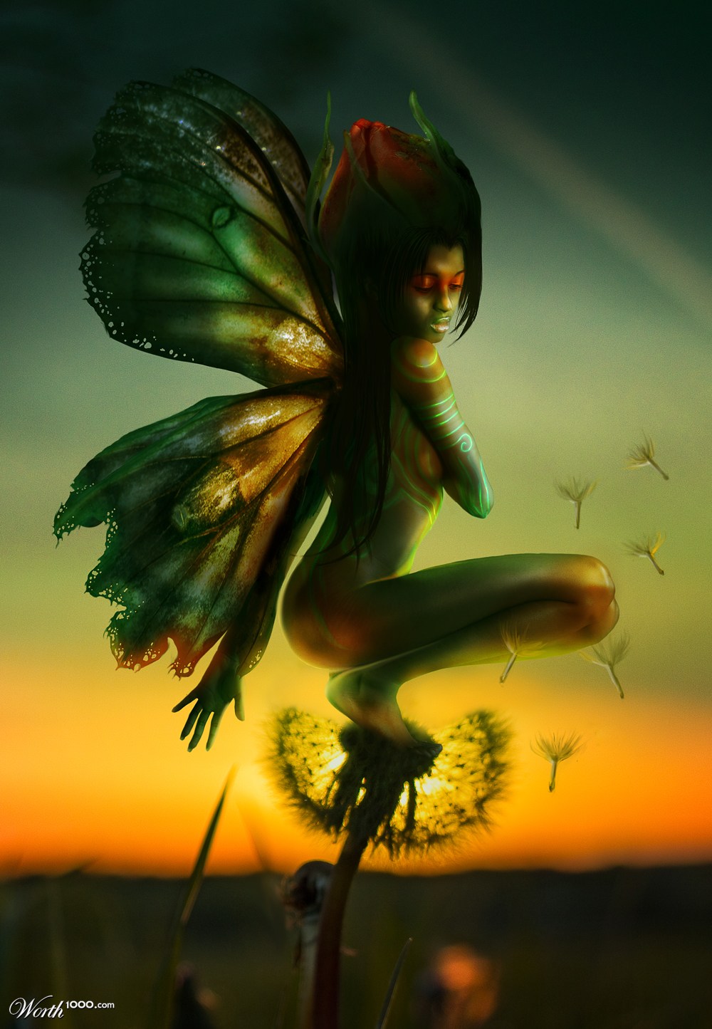 Dandelion