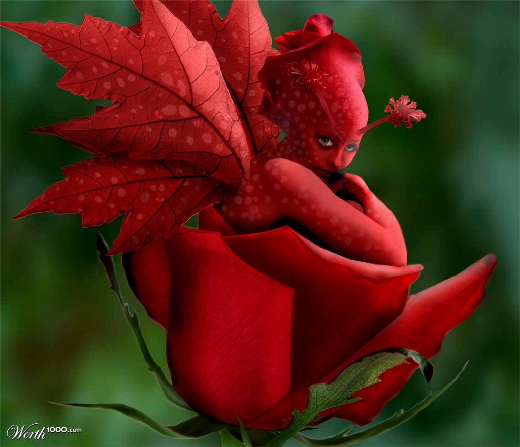 Red Faerie