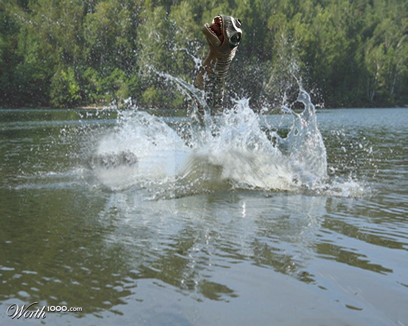 splash