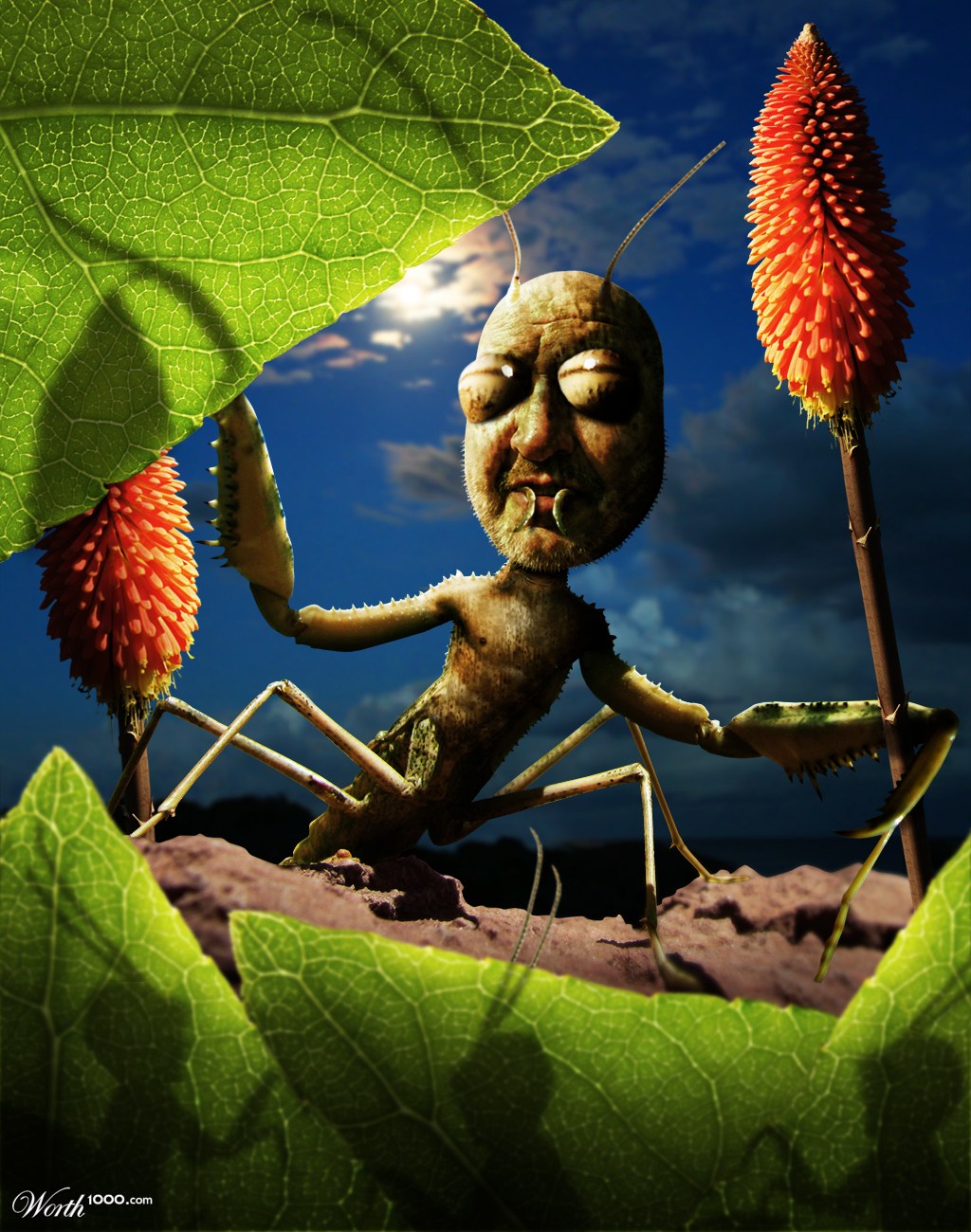 MAN-TISSSS Nest
