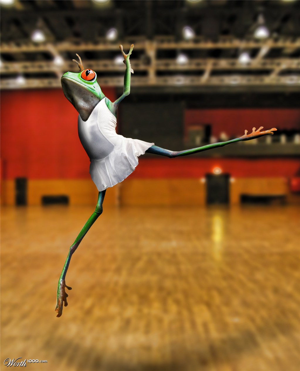 Dance with a frog
