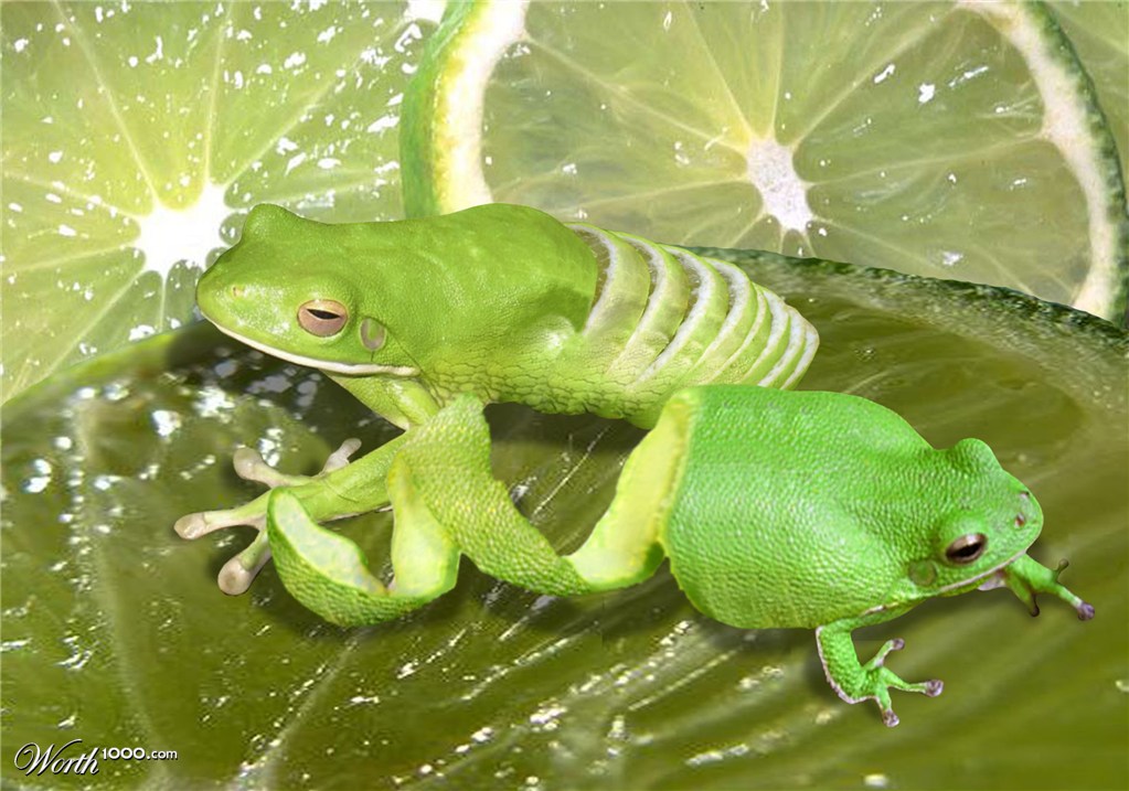 Lemon Frogs