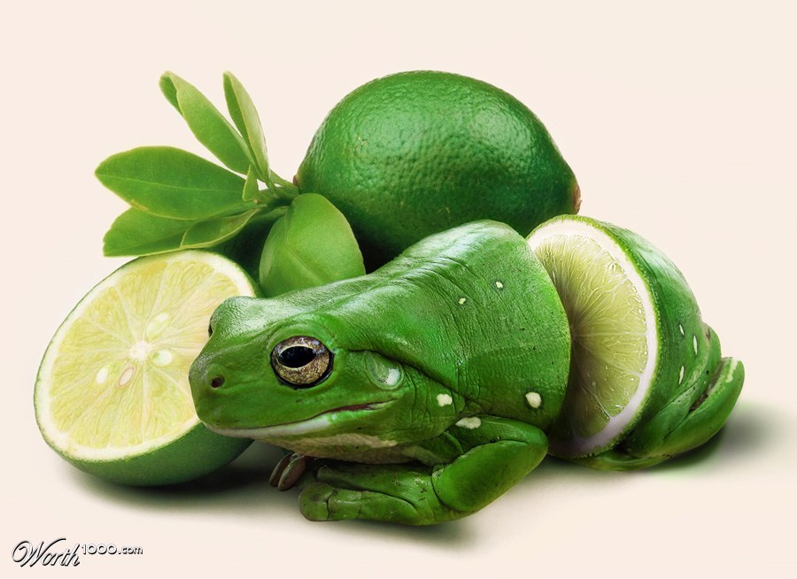 CHOP A FROG