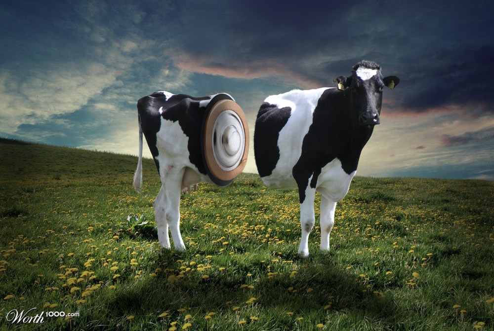 Got milk?