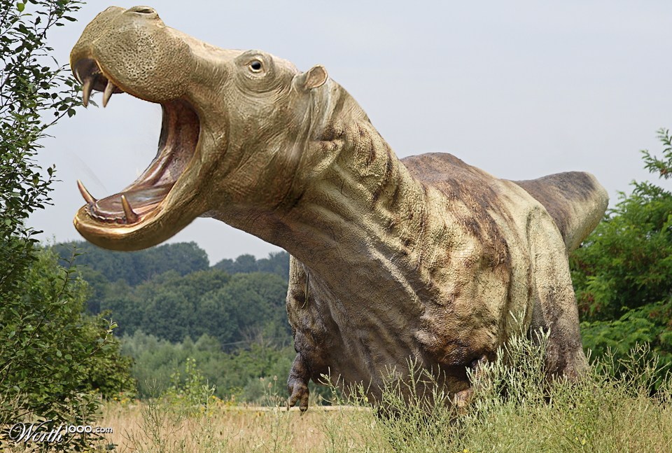 Hipposaurus Rex