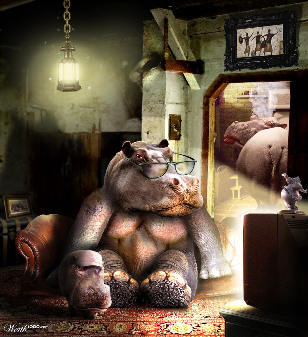 Hippo family