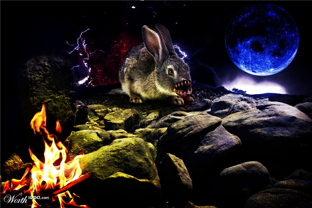 Rabbit