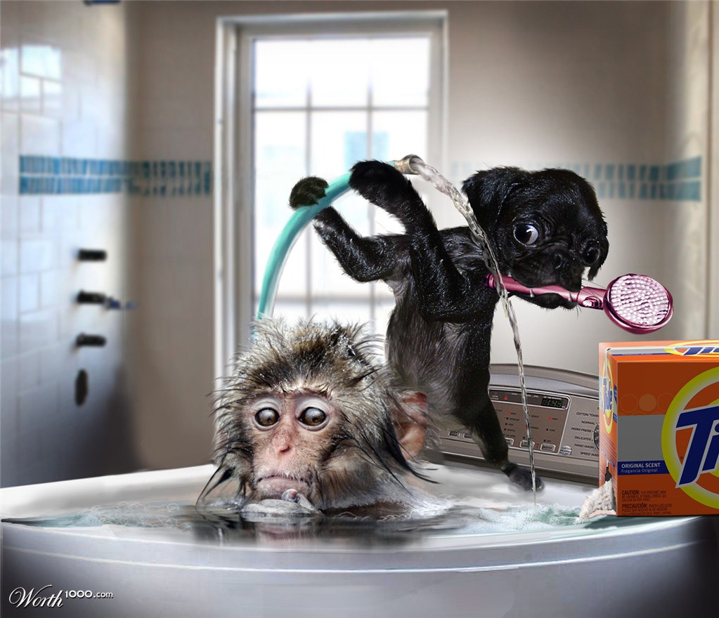 The Little Nanny Dog