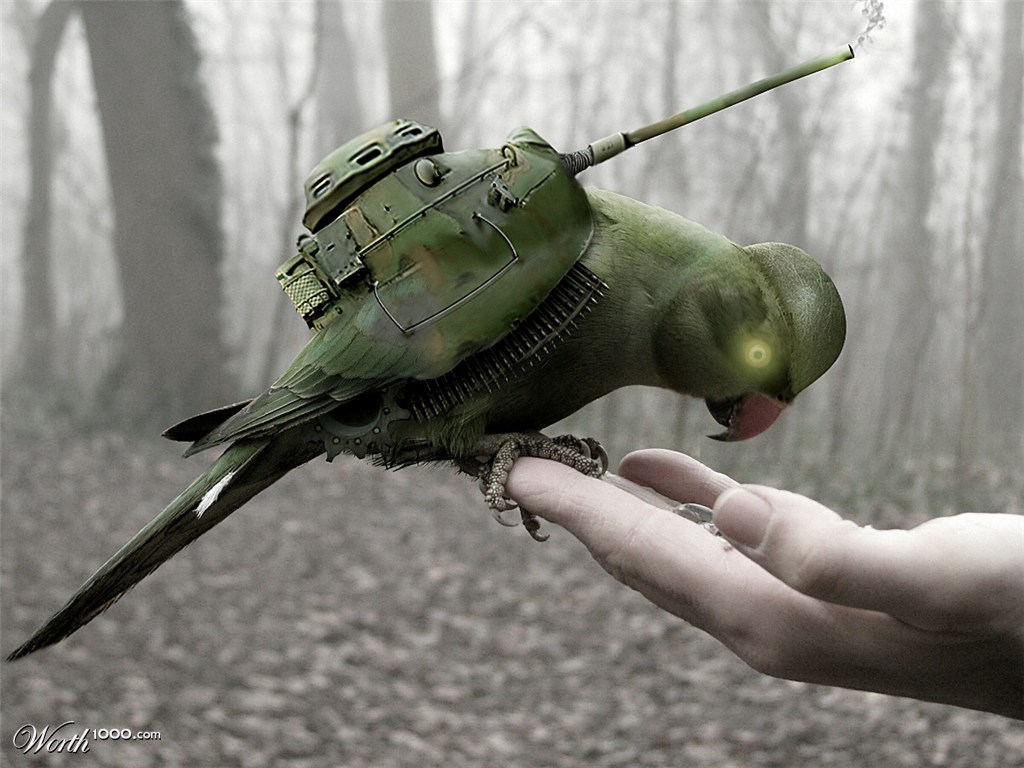 Bird Tank