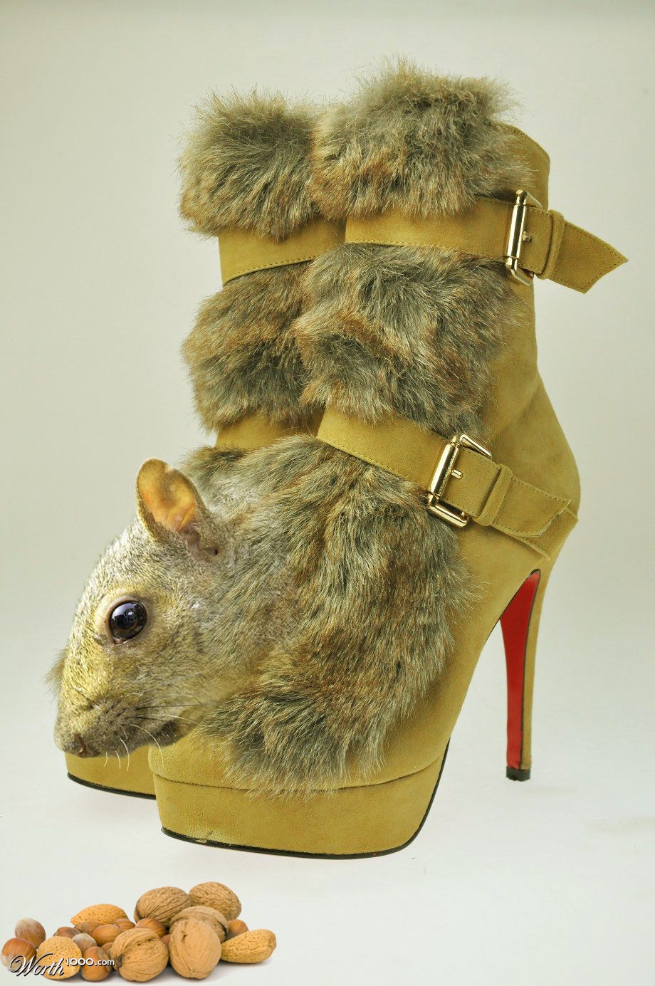 the nuts