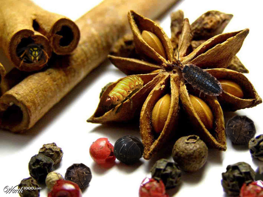 Condiments and spices,
