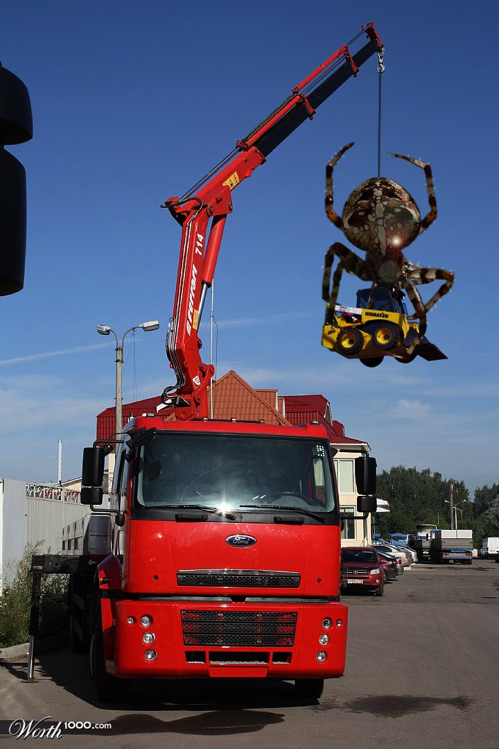 Spider.