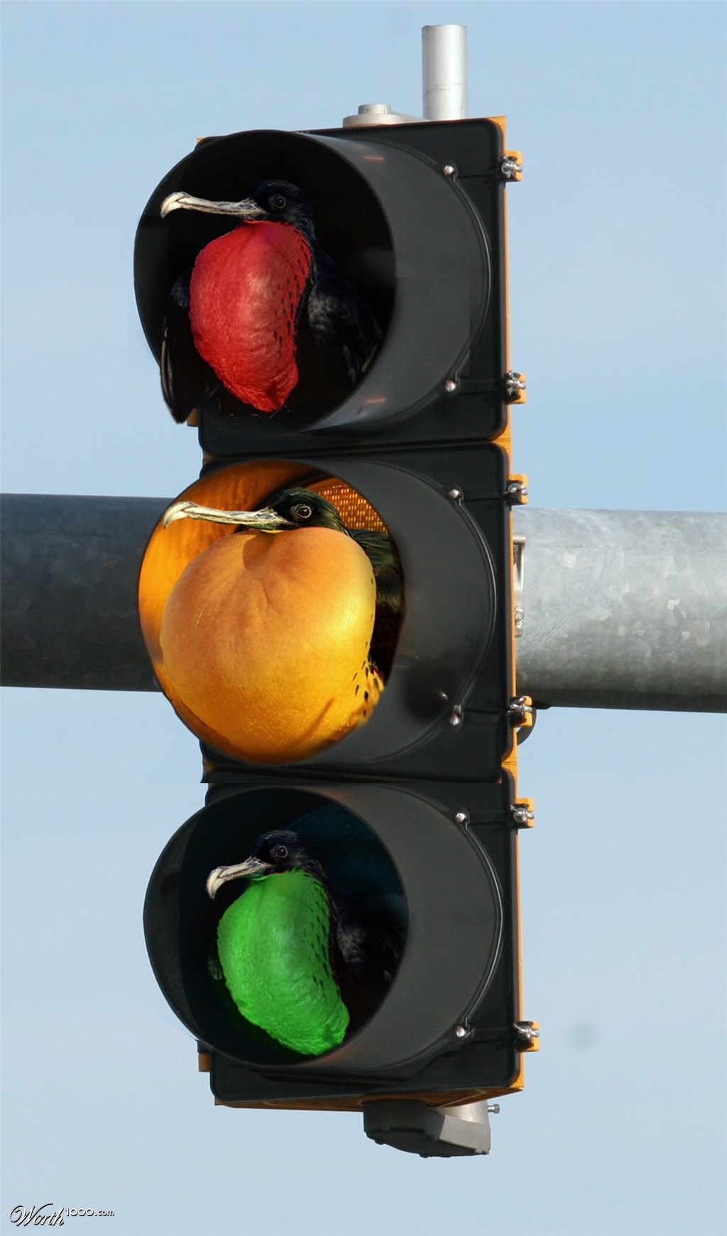 Stoplight
