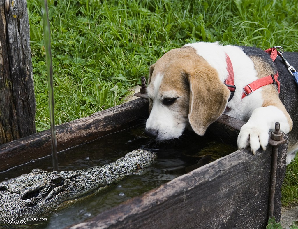 Non-Potable water