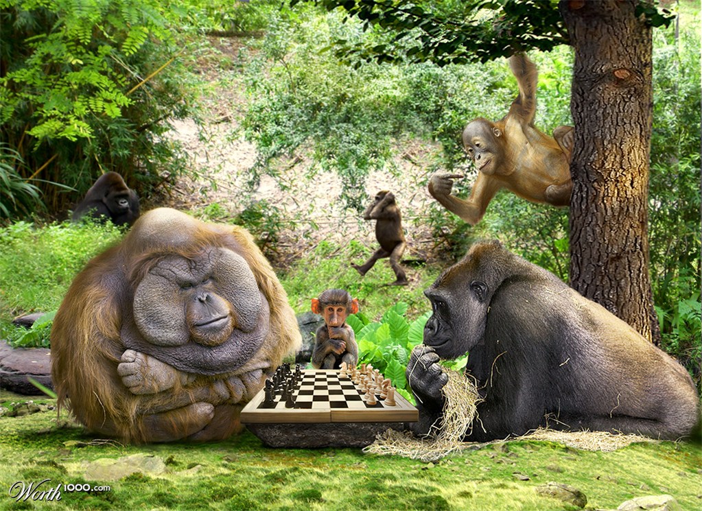Playing on the title.
