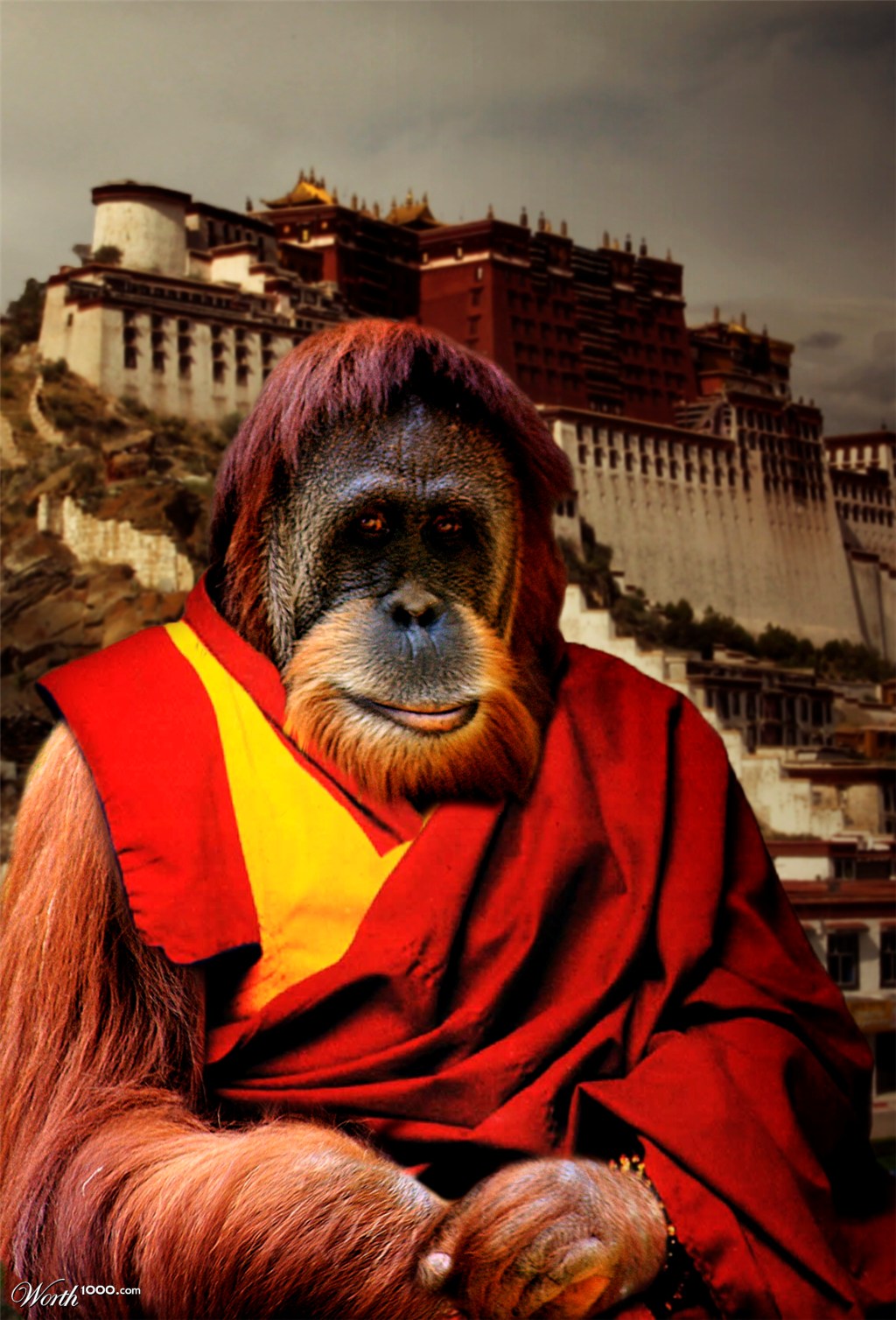 Ape Budist