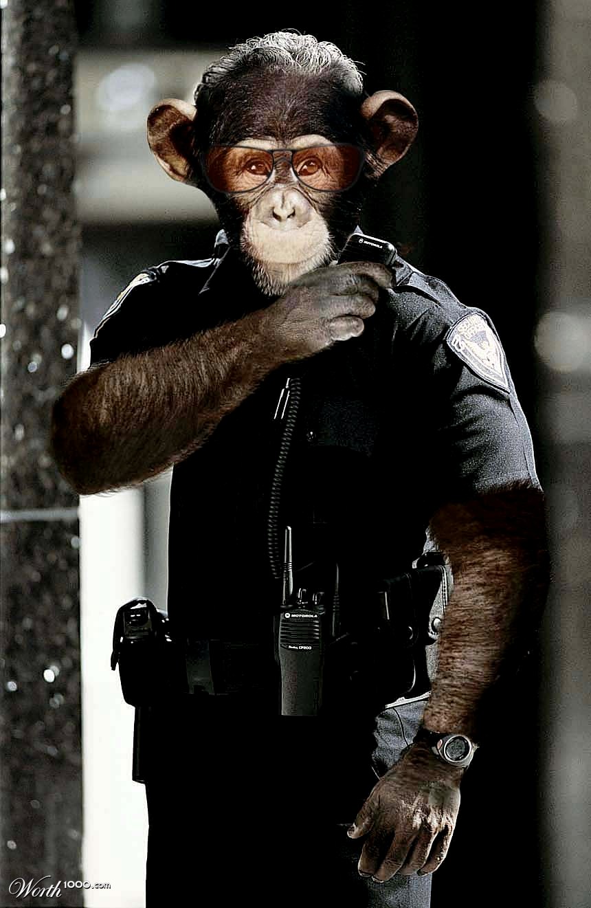 Monkey Police