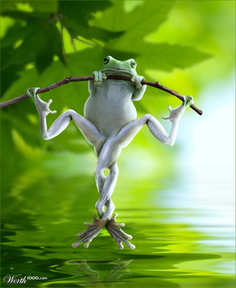 Frog Twist