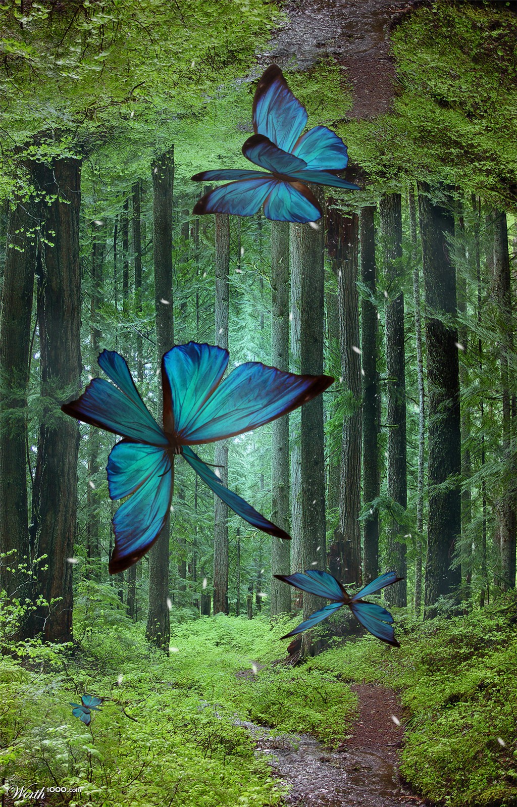 Symmerflies of the skyless forest