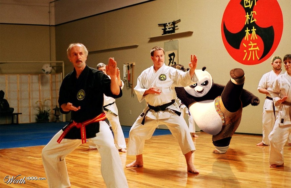 Karate-Panda