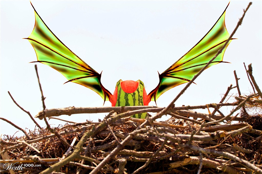 melon wings