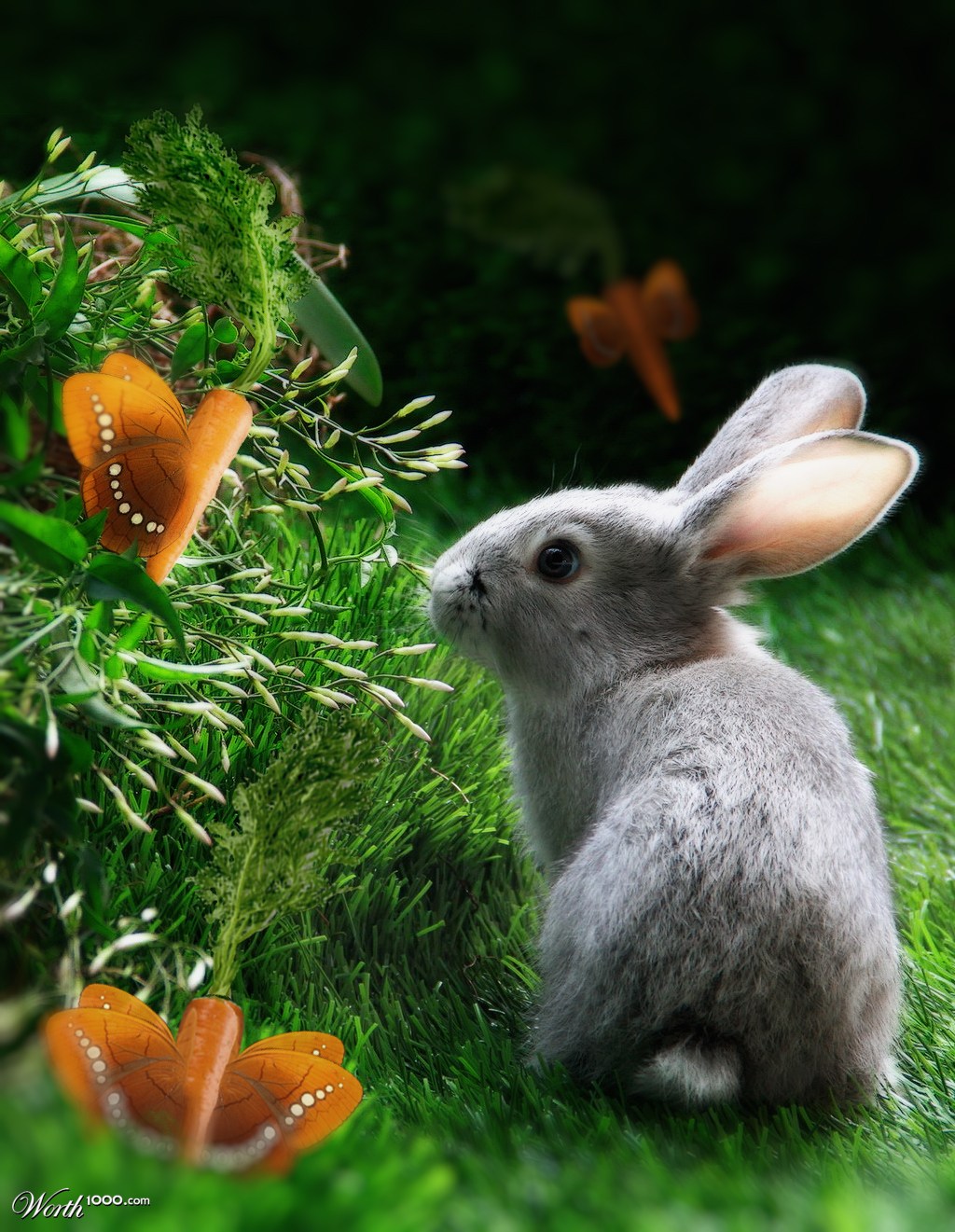 Wabbit