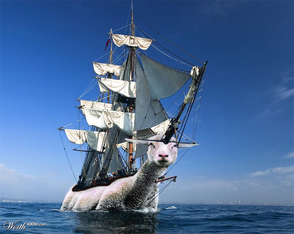Sailing-sheep