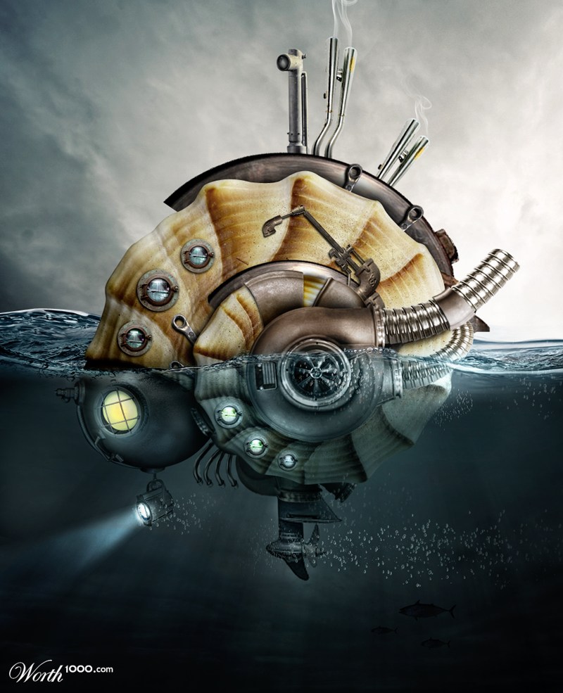 Sea Shell Explorer