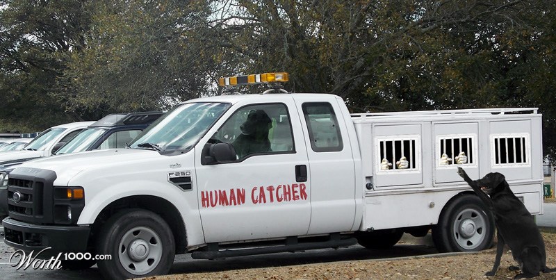Human catcher