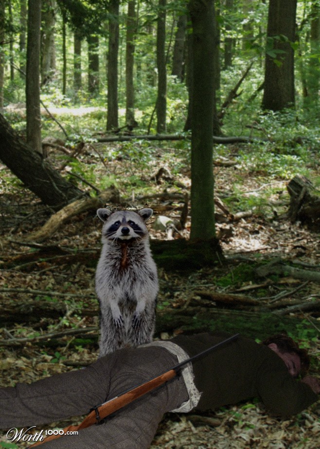 Raccoon Hunt