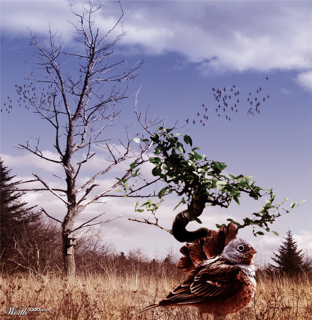 Saving The Tree