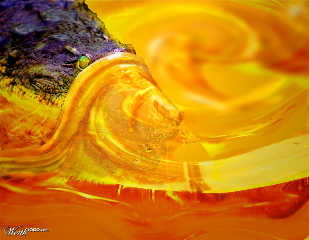 into the honey pound