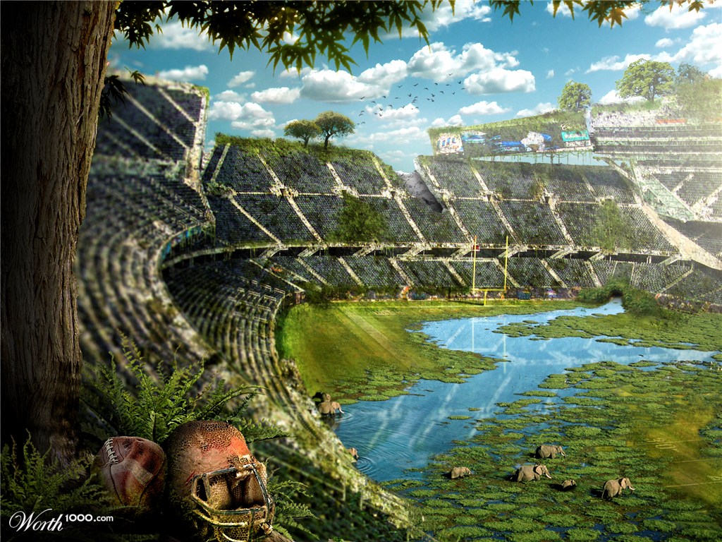 The Swamp