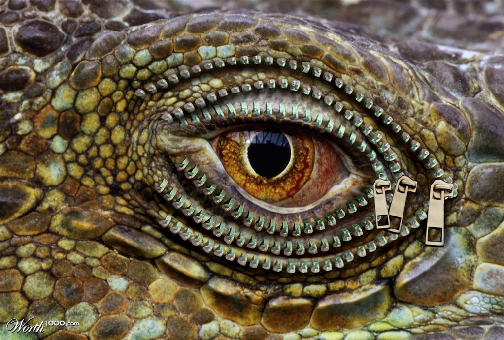Zip Eye