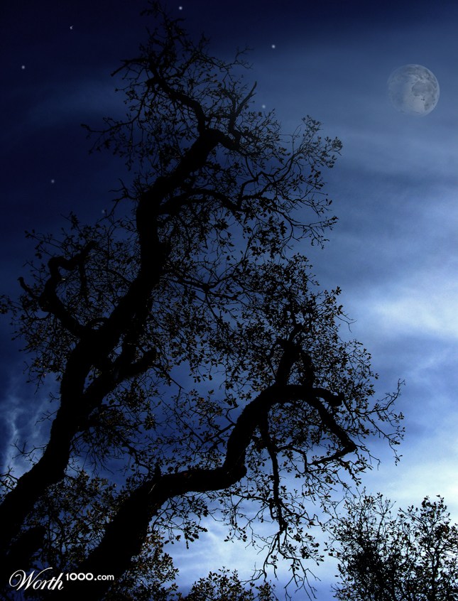Earth & Sky