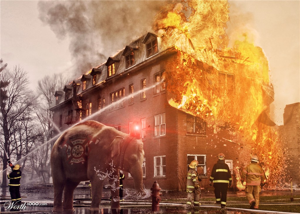 Firephant !