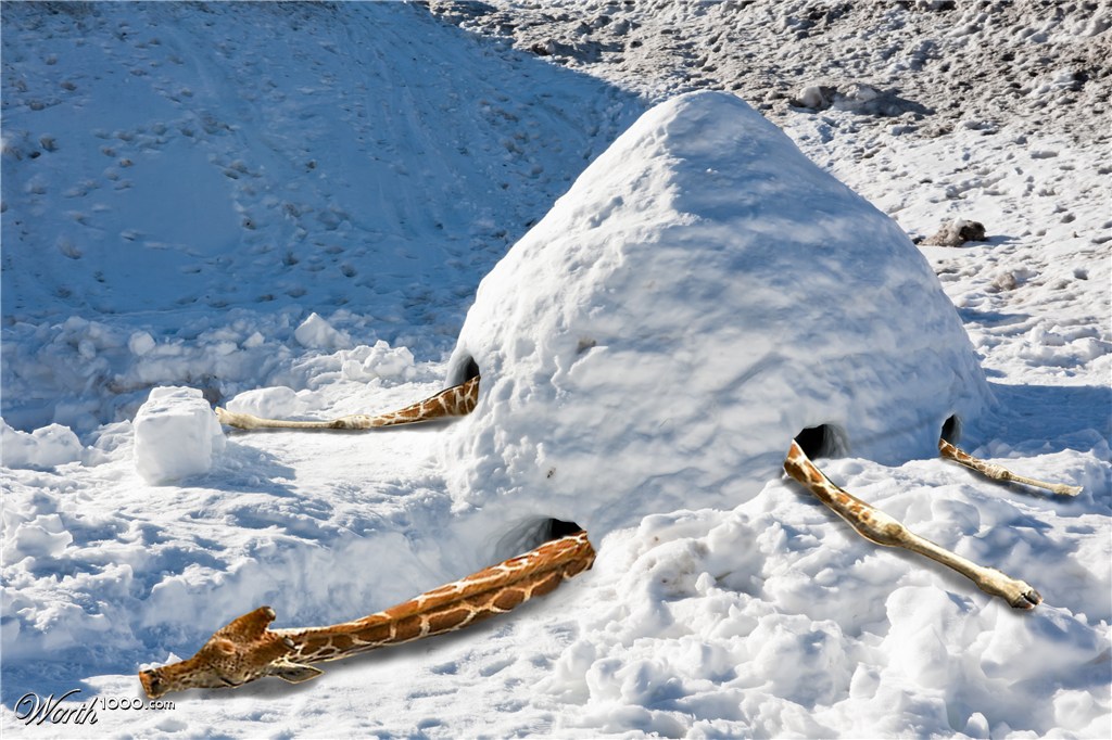 Igloo Bedtime