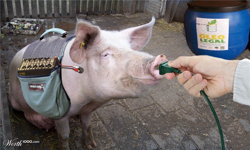 pig plug