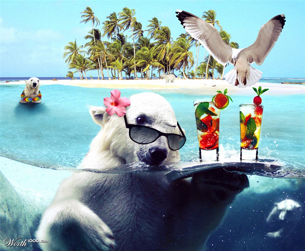Holiday Time!