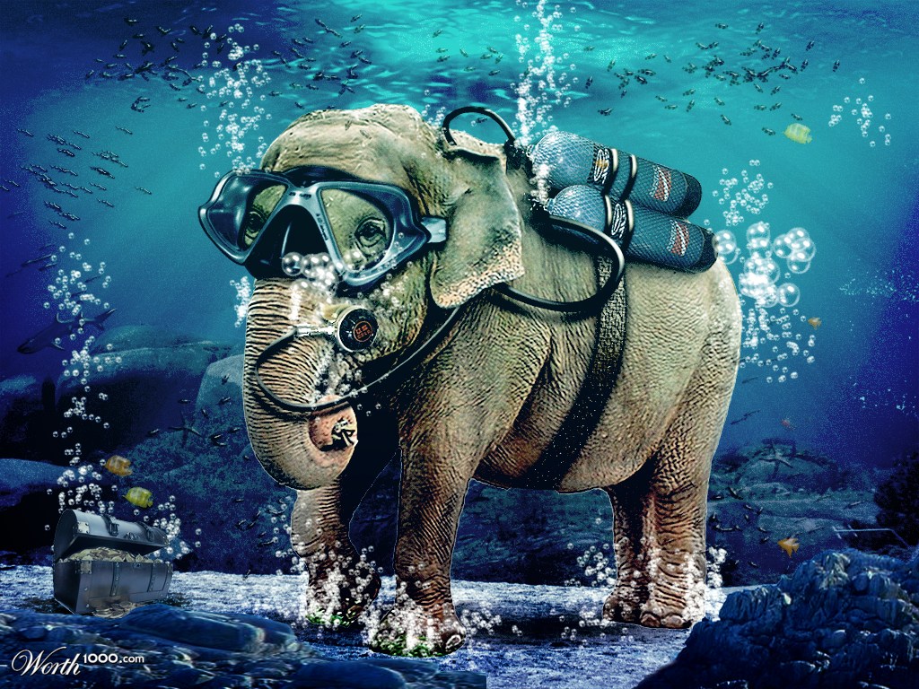 Deep elephant
