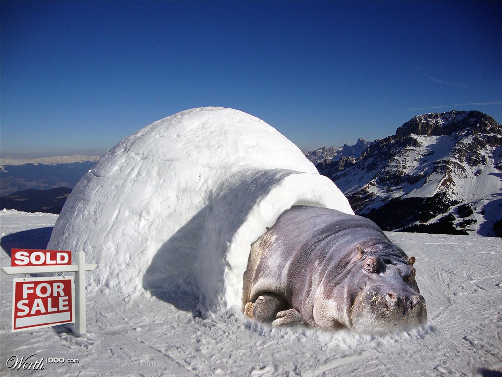 Global Warming Speculator