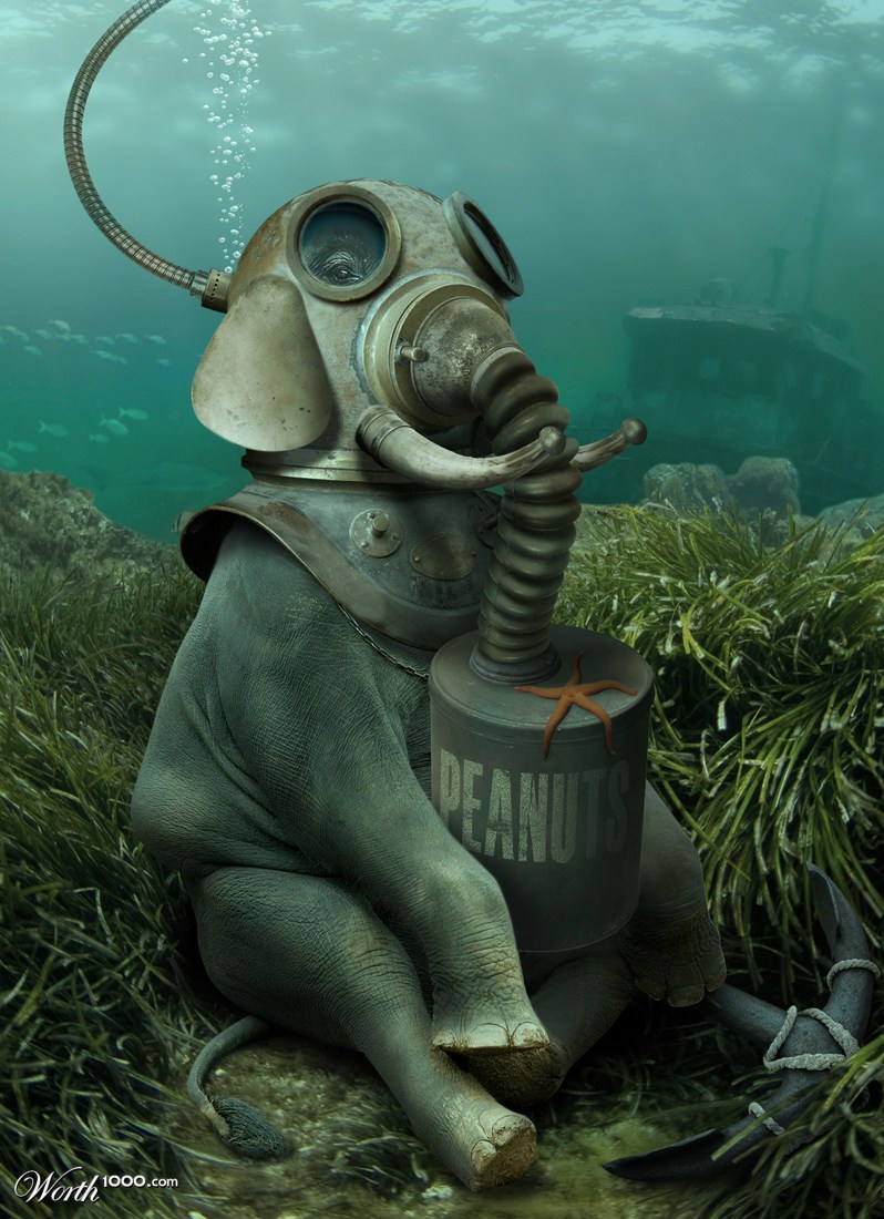 Bottom Dweller
