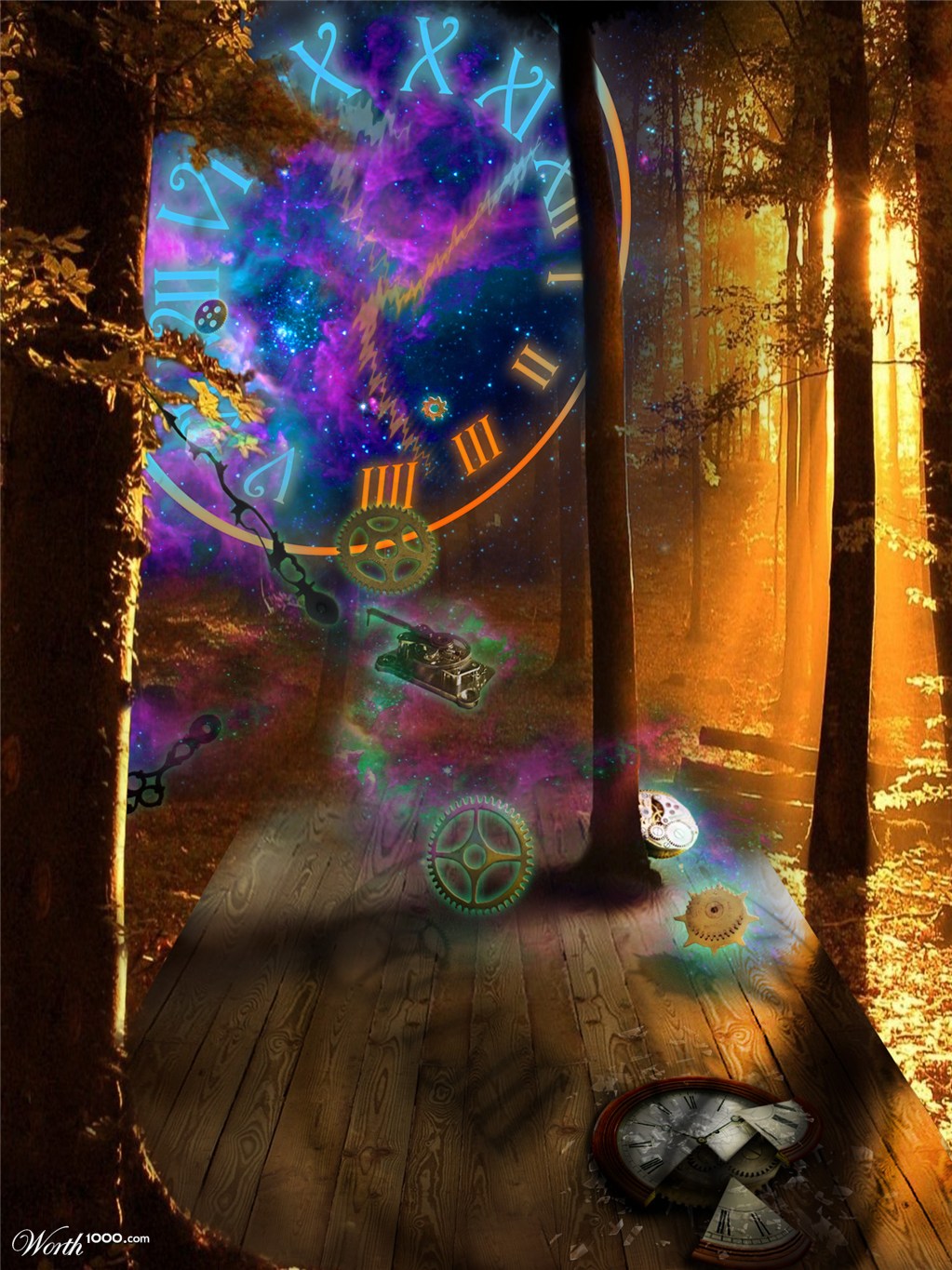 The Forest of Time