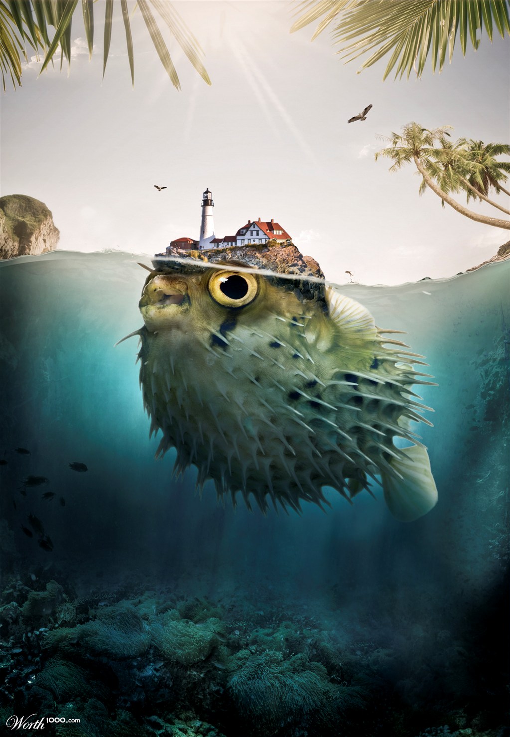 Fishy island!