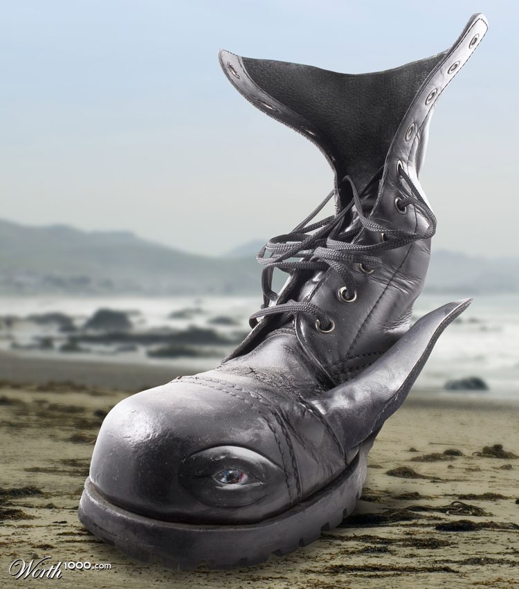 Whale shoe