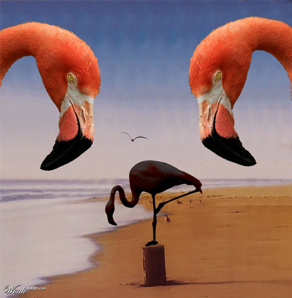 The Karate Flamingo