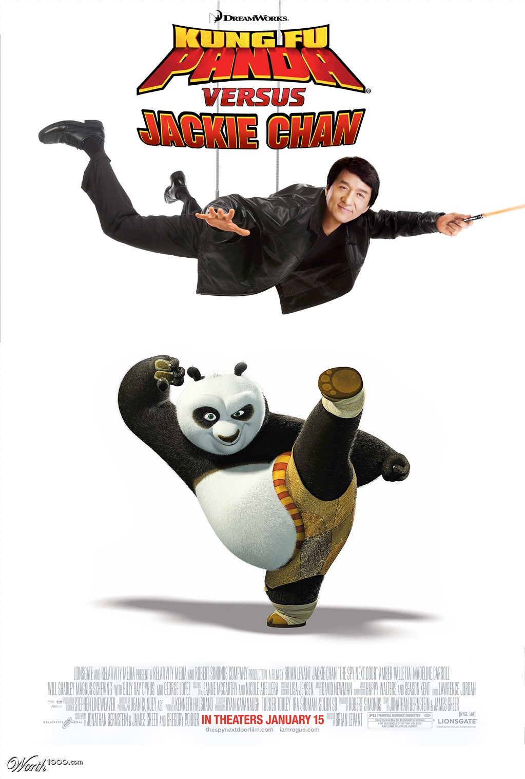 Panda VS Jackie Chan